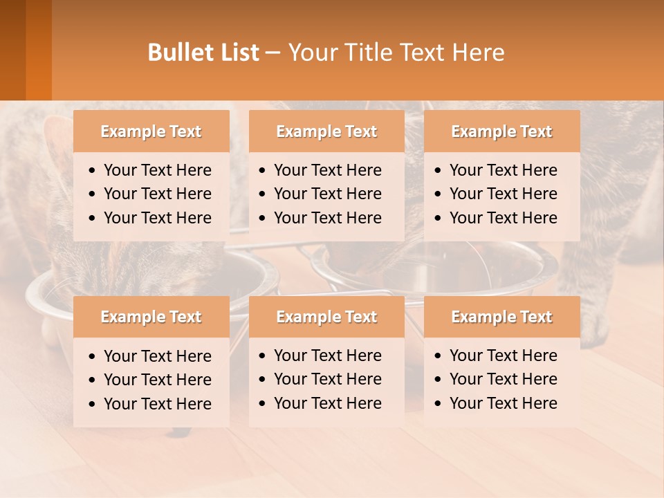 Two Cats Eating Out Of A Metal Bowl PowerPoint Template