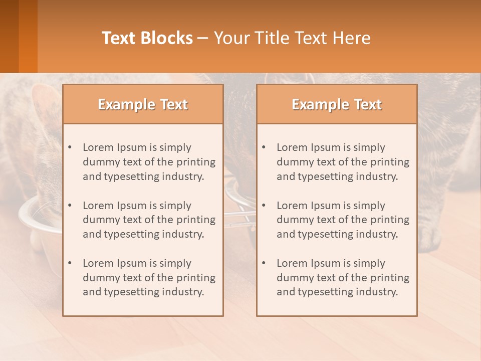Two Cats Eating Out Of A Metal Bowl PowerPoint Template