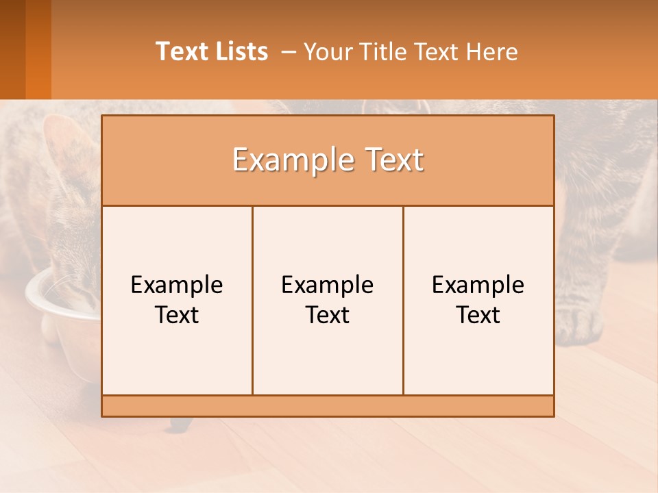 Two Cats Eating Out Of A Metal Bowl PowerPoint Template