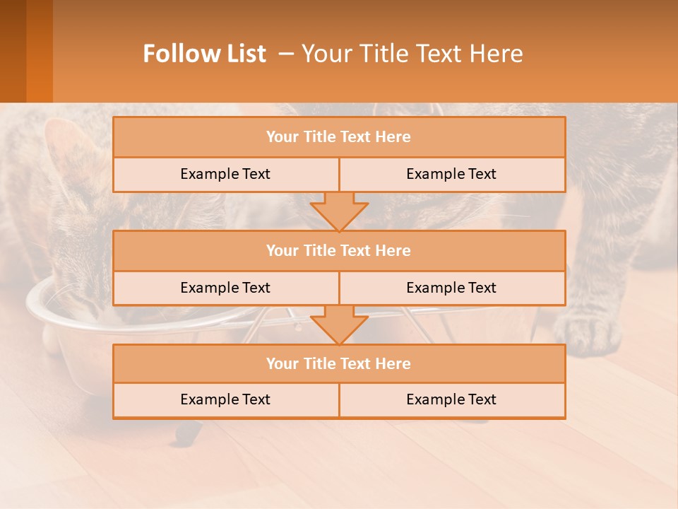 Two Cats Eating Out Of A Metal Bowl PowerPoint Template
