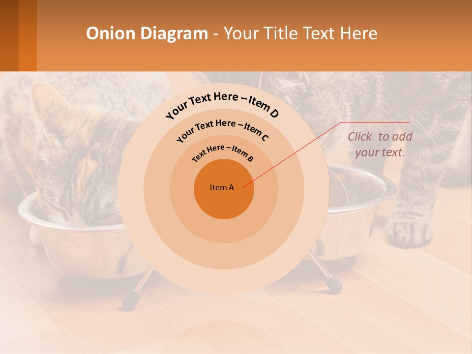 Two Cats Eating Out Of A Metal Bowl PowerPoint Template