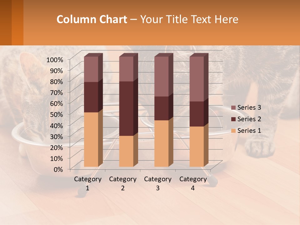 Two Cats Eating Out Of A Metal Bowl PowerPoint Template