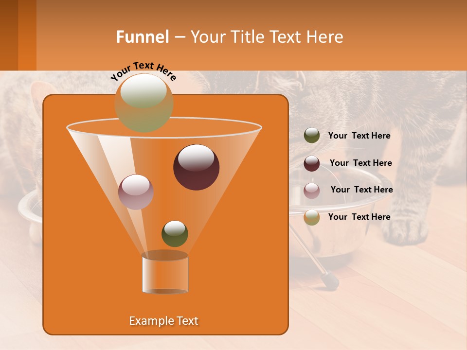 Two Cats Eating Out Of A Metal Bowl PowerPoint Template