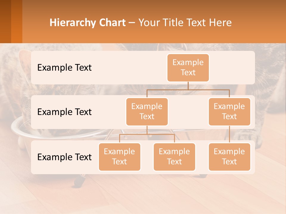 Two Cats Eating Out Of A Metal Bowl PowerPoint Template