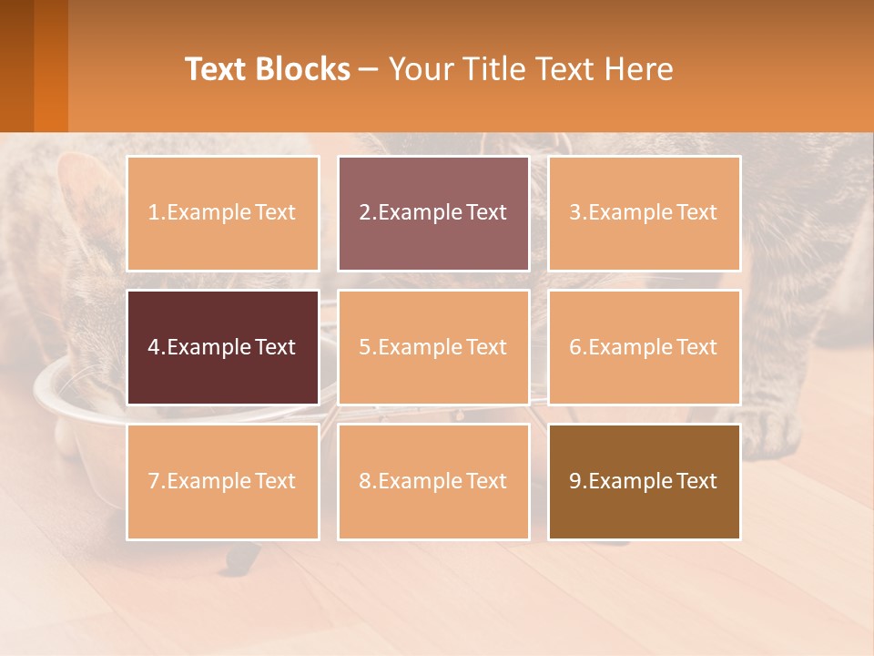 Two Cats Eating Out Of A Metal Bowl PowerPoint Template