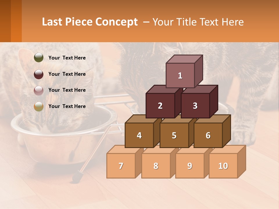 Two Cats Eating Out Of A Metal Bowl PowerPoint Template