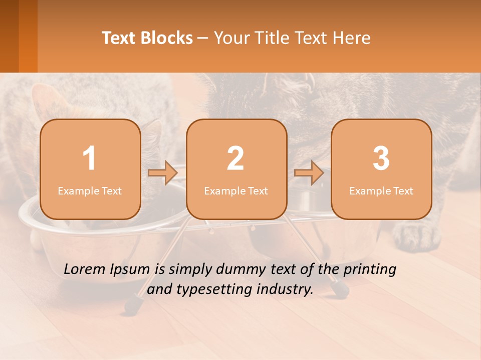 Two Cats Eating Out Of A Metal Bowl PowerPoint Template
