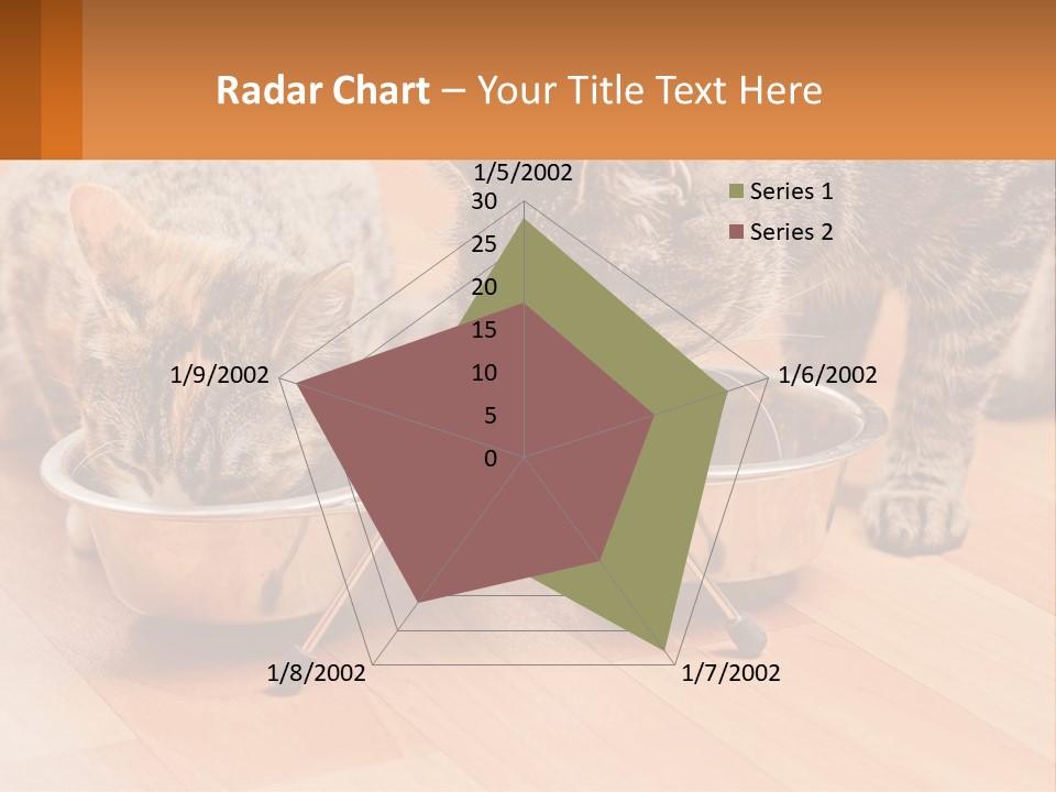 Two Cats Eating Out Of A Metal Bowl PowerPoint Template