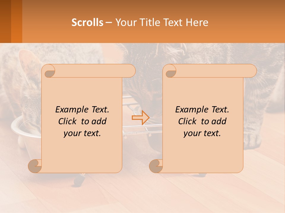 Two Cats Eating Out Of A Metal Bowl PowerPoint Template