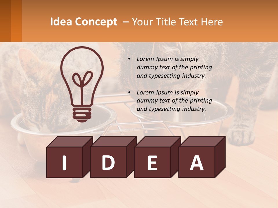 Two Cats Eating Out Of A Metal Bowl PowerPoint Template