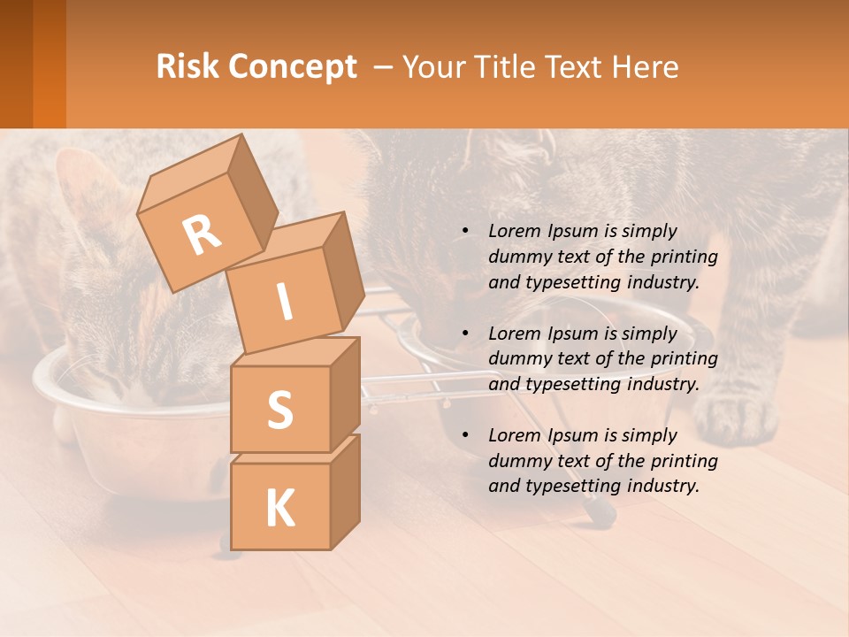 Two Cats Eating Out Of A Metal Bowl PowerPoint Template