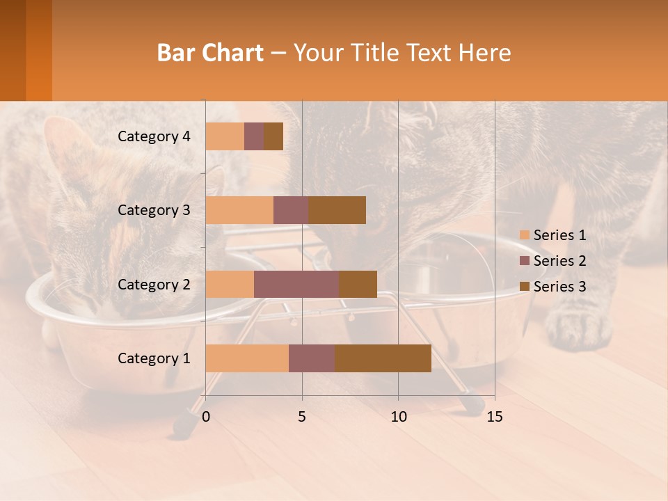 Two Cats Eating Out Of A Metal Bowl PowerPoint Template