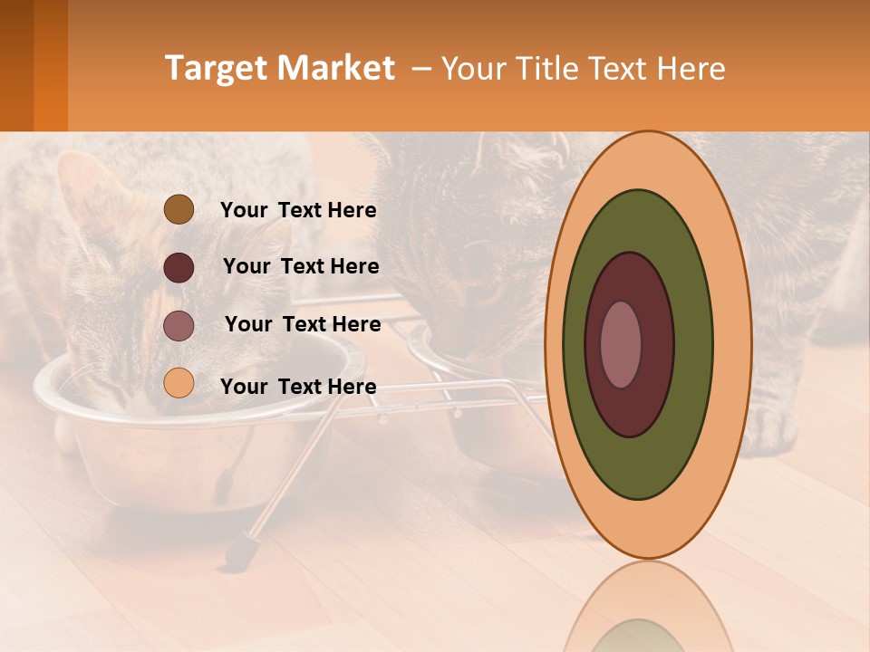 Two Cats Eating Out Of A Metal Bowl PowerPoint Template