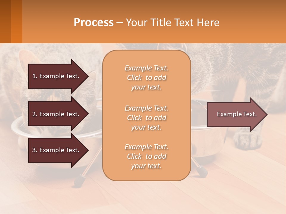 Two Cats Eating Out Of A Metal Bowl PowerPoint Template