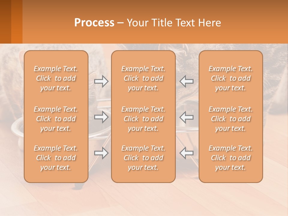 Two Cats Eating Out Of A Metal Bowl PowerPoint Template