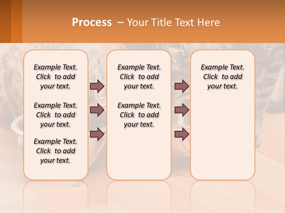 Two Cats Eating Out Of A Metal Bowl PowerPoint Template