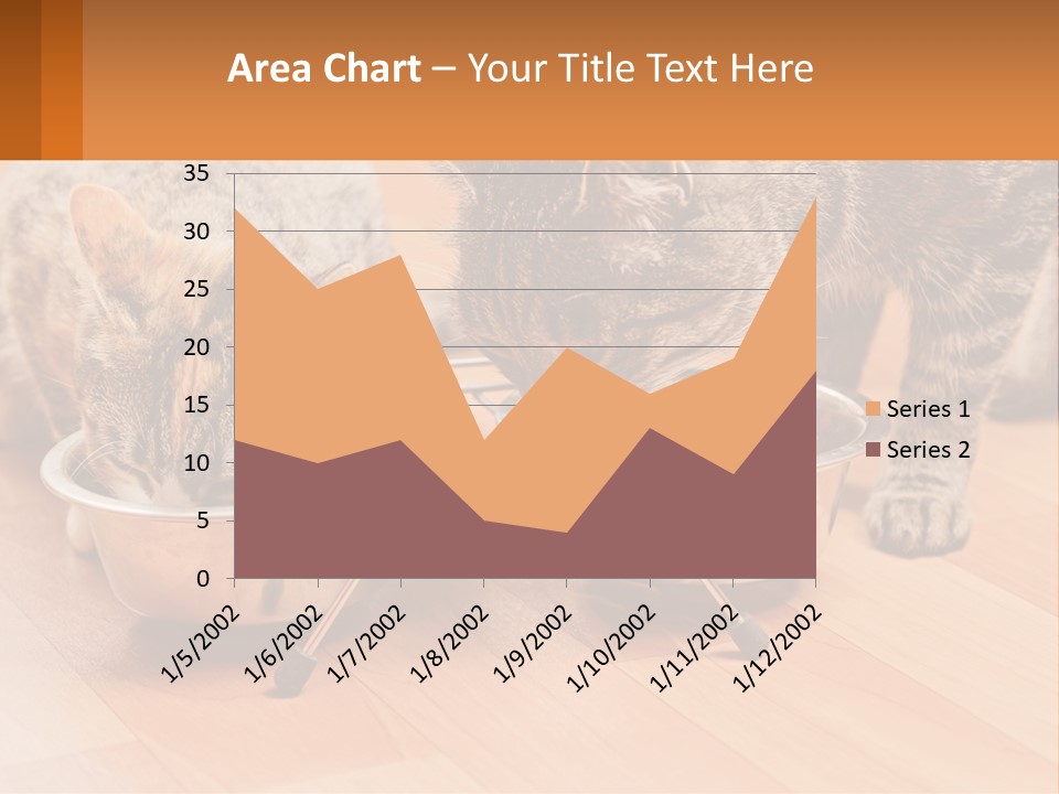 Two Cats Eating Out Of A Metal Bowl PowerPoint Template