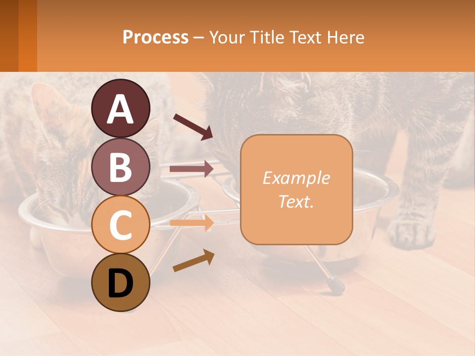 Two Cats Eating Out Of A Metal Bowl PowerPoint Template