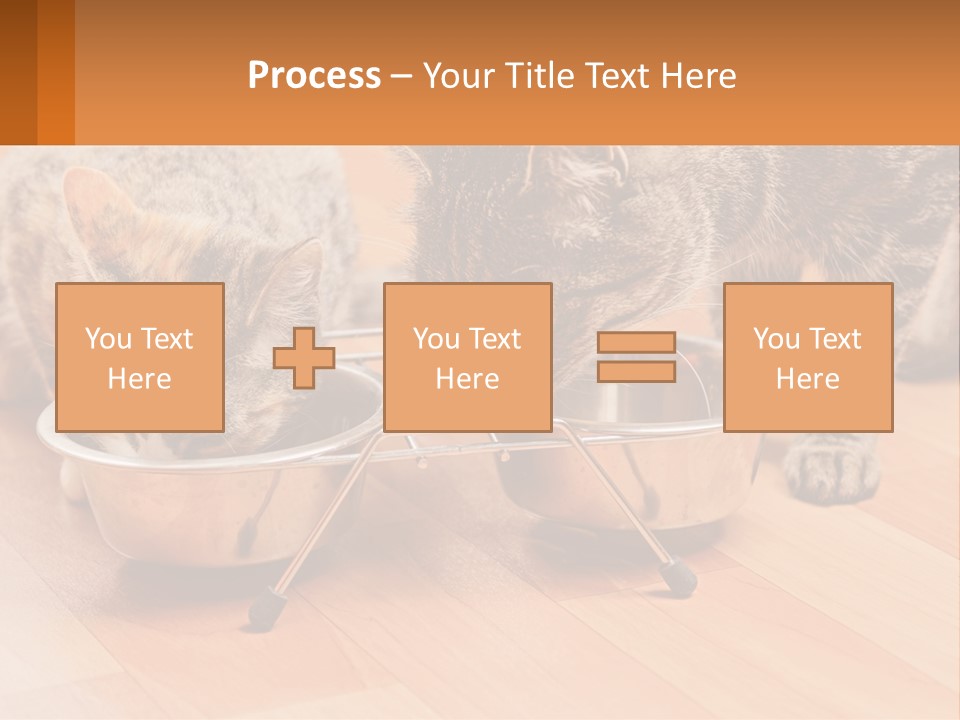 Two Cats Eating Out Of A Metal Bowl PowerPoint Template