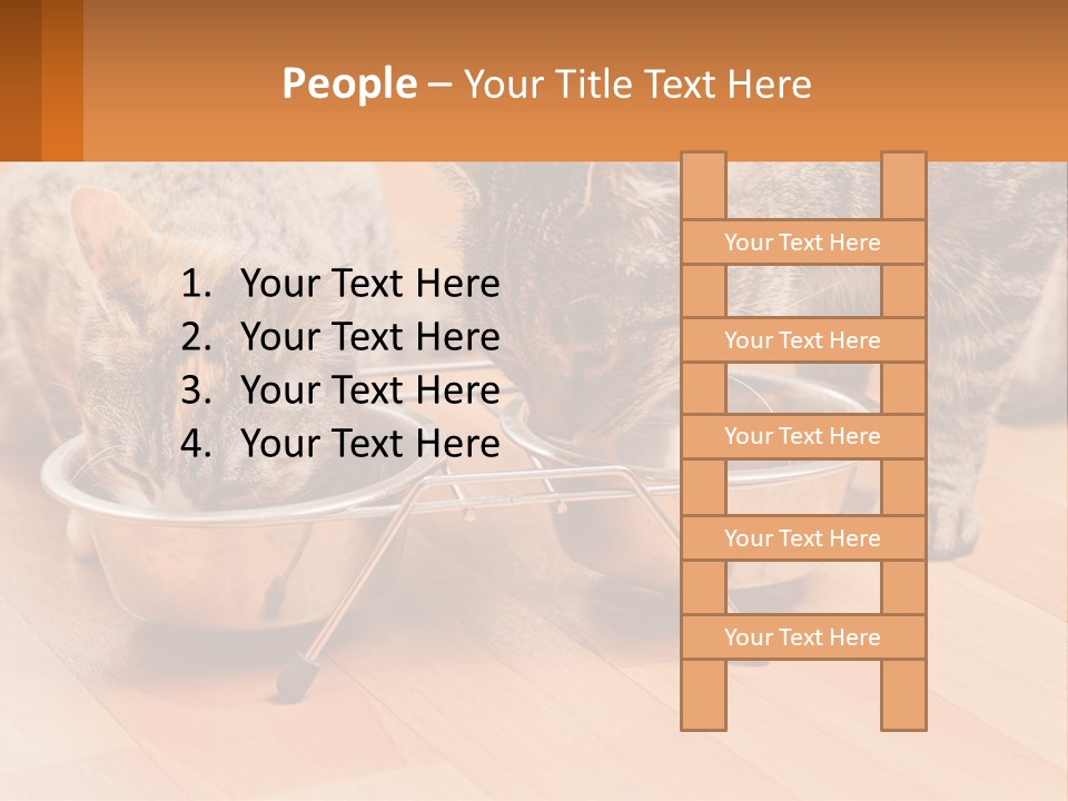 Two Cats Eating Out Of A Metal Bowl PowerPoint Template