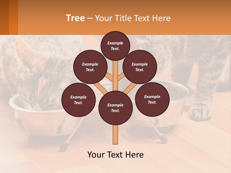 Two Cats Eating Out Of A Metal Bowl PowerPoint Template