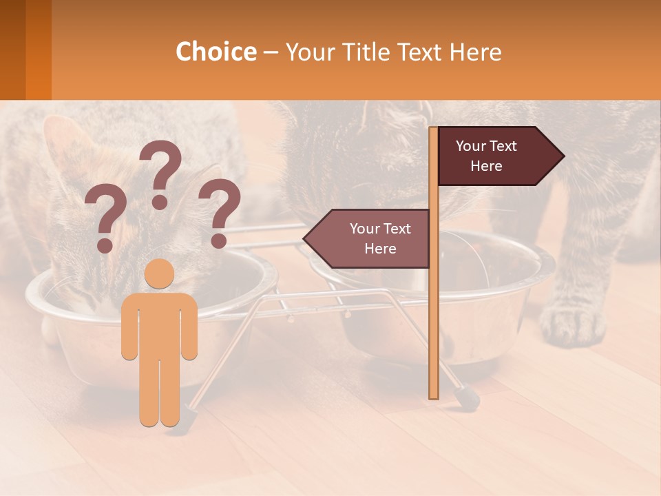 Two Cats Eating Out Of A Metal Bowl PowerPoint Template