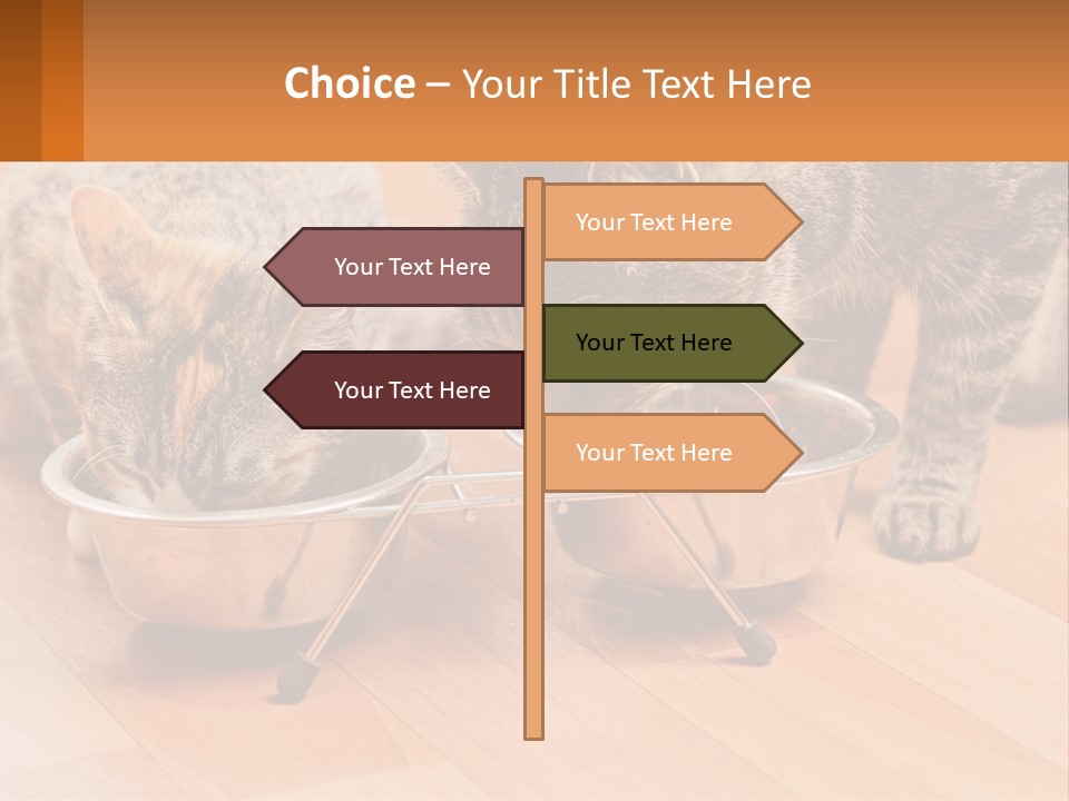 Two Cats Eating Out Of A Metal Bowl PowerPoint Template