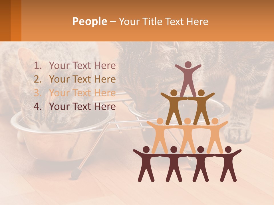 Two Cats Eating Out Of A Metal Bowl PowerPoint Template