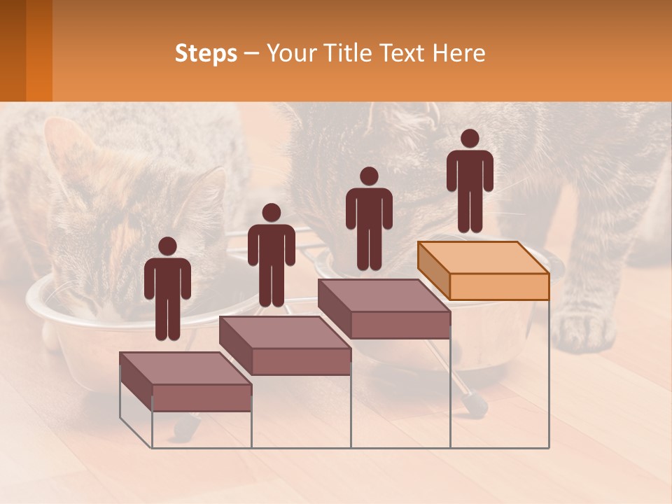 Two Cats Eating Out Of A Metal Bowl PowerPoint Template