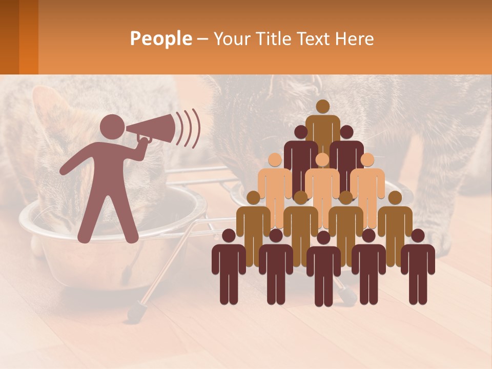 Two Cats Eating Out Of A Metal Bowl PowerPoint Template