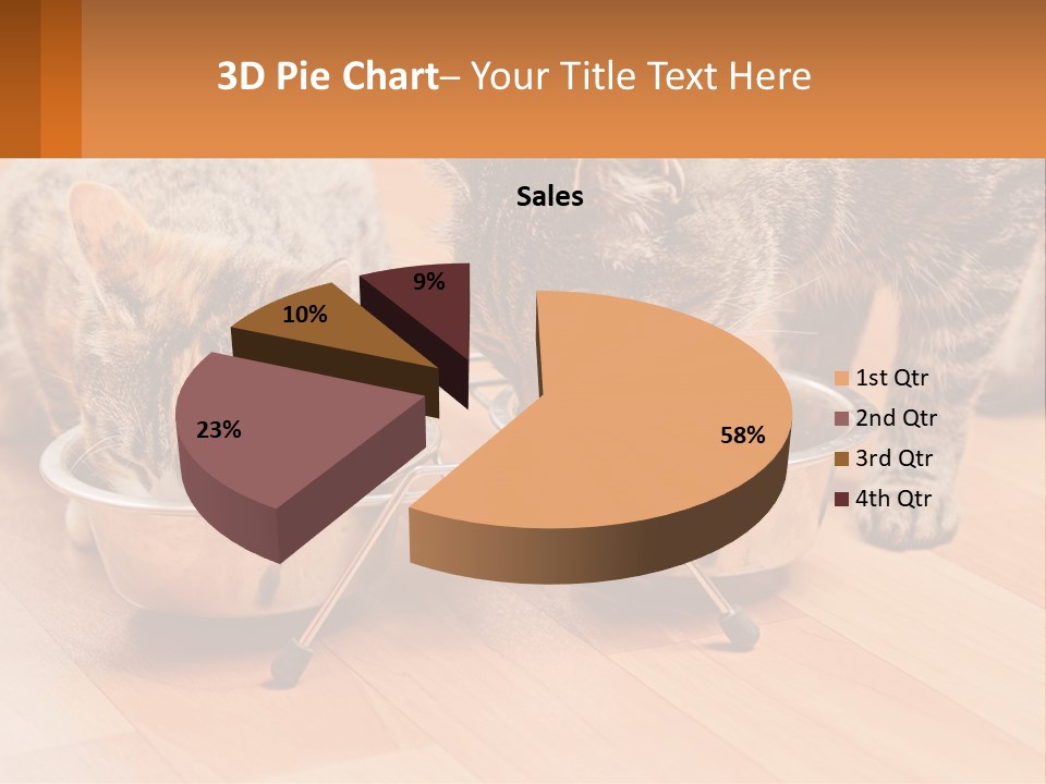 Two Cats Eating Out Of A Metal Bowl PowerPoint Template