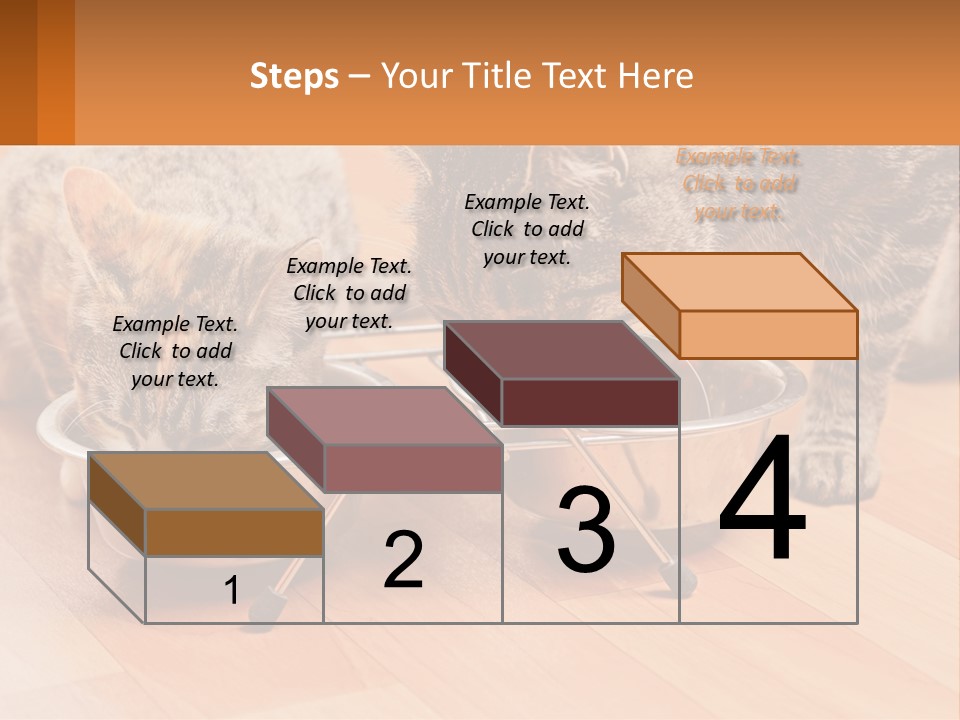 Two Cats Eating Out Of A Metal Bowl PowerPoint Template