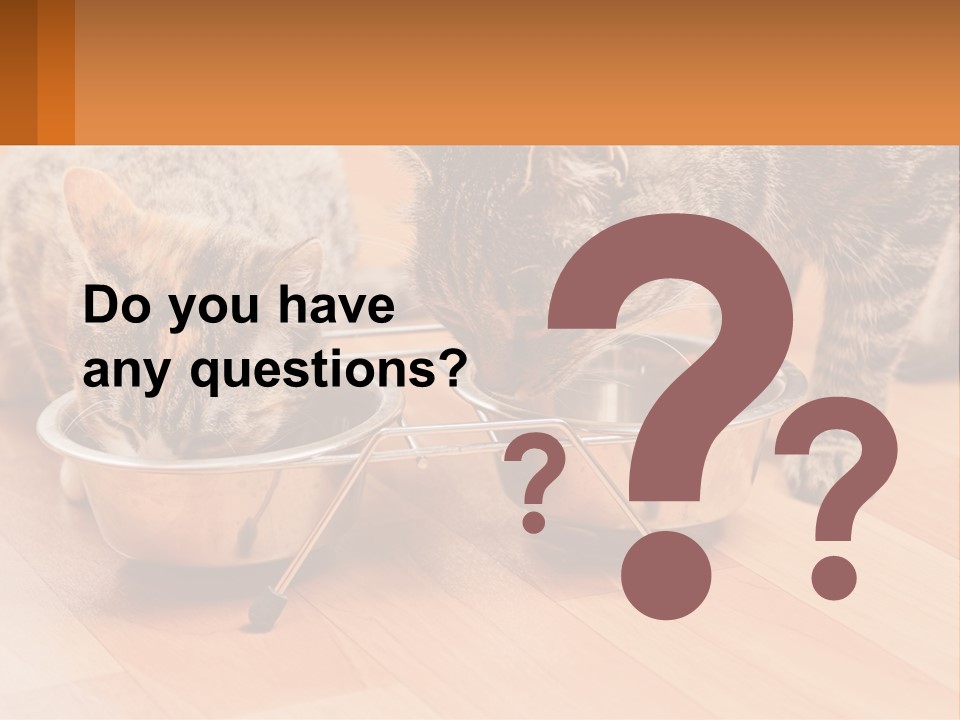 Two Cats Eating Out Of A Metal Bowl PowerPoint Template