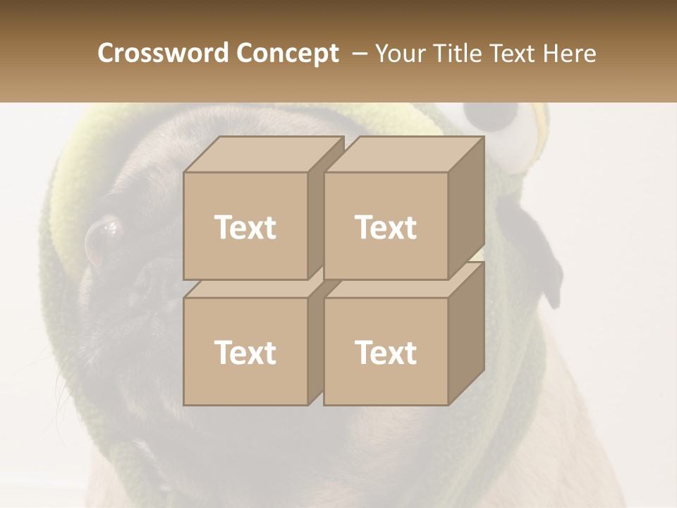 A Small Pug Dog Wearing A Towel With Eyes PowerPoint Template