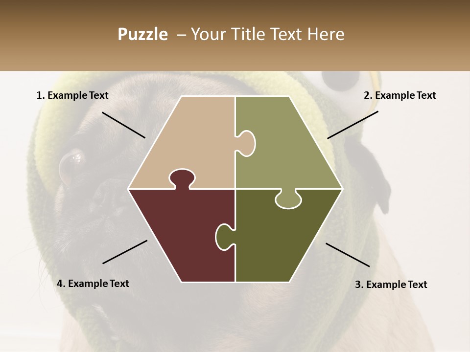 A Small Pug Dog Wearing A Towel With Eyes PowerPoint Template