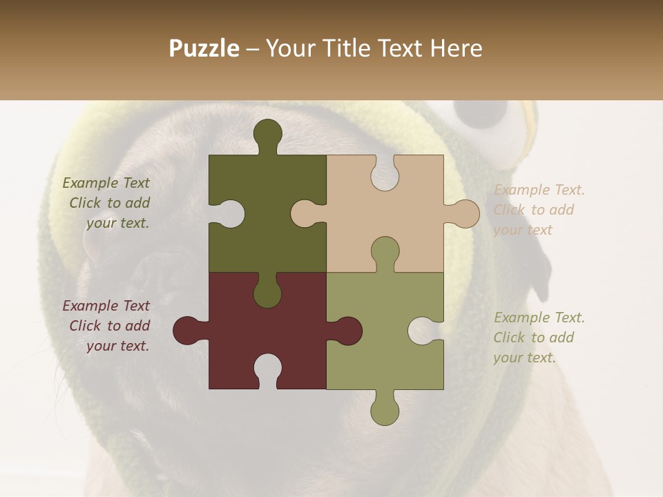 A Small Pug Dog Wearing A Towel With Eyes PowerPoint Template