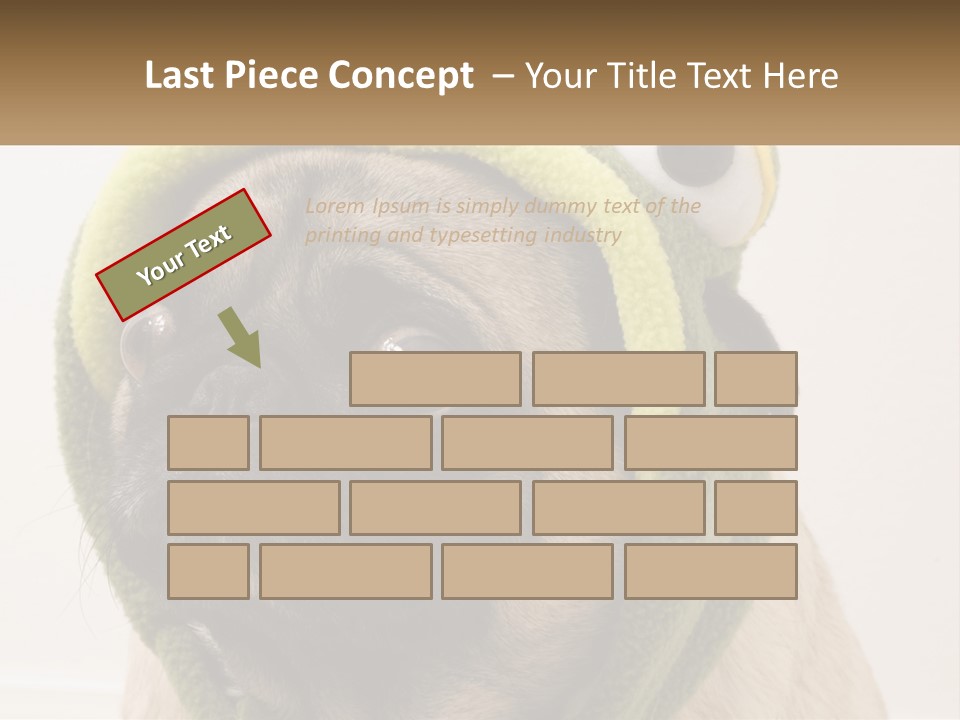 A Small Pug Dog Wearing A Towel With Eyes PowerPoint Template