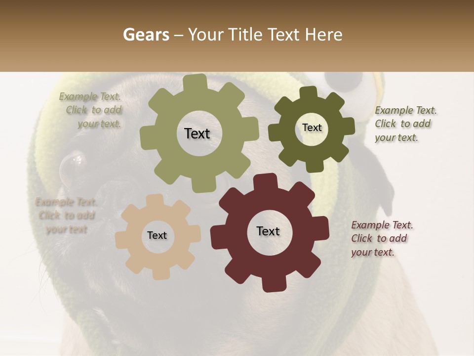 A Small Pug Dog Wearing A Towel With Eyes PowerPoint Template