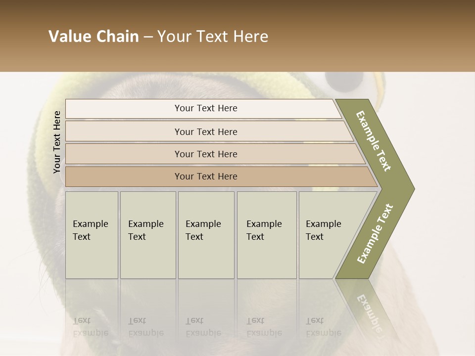 A Small Pug Dog Wearing A Towel With Eyes PowerPoint Template