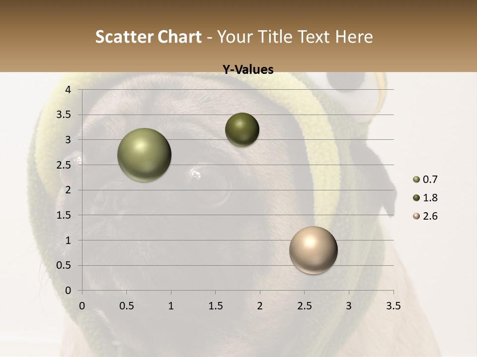 A Small Pug Dog Wearing A Towel With Eyes PowerPoint Template