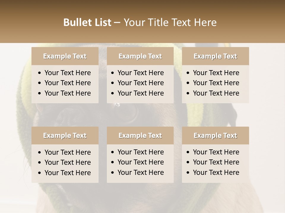 A Small Pug Dog Wearing A Towel With Eyes PowerPoint Template