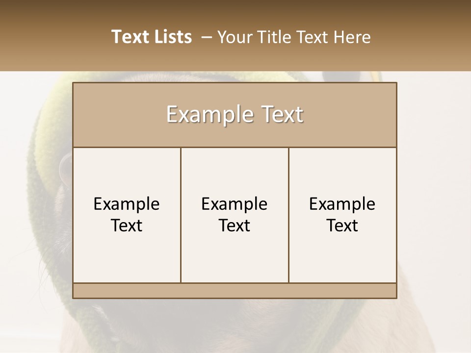 A Small Pug Dog Wearing A Towel With Eyes PowerPoint Template