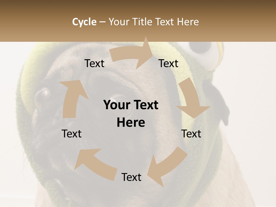 A Small Pug Dog Wearing A Towel With Eyes PowerPoint Template