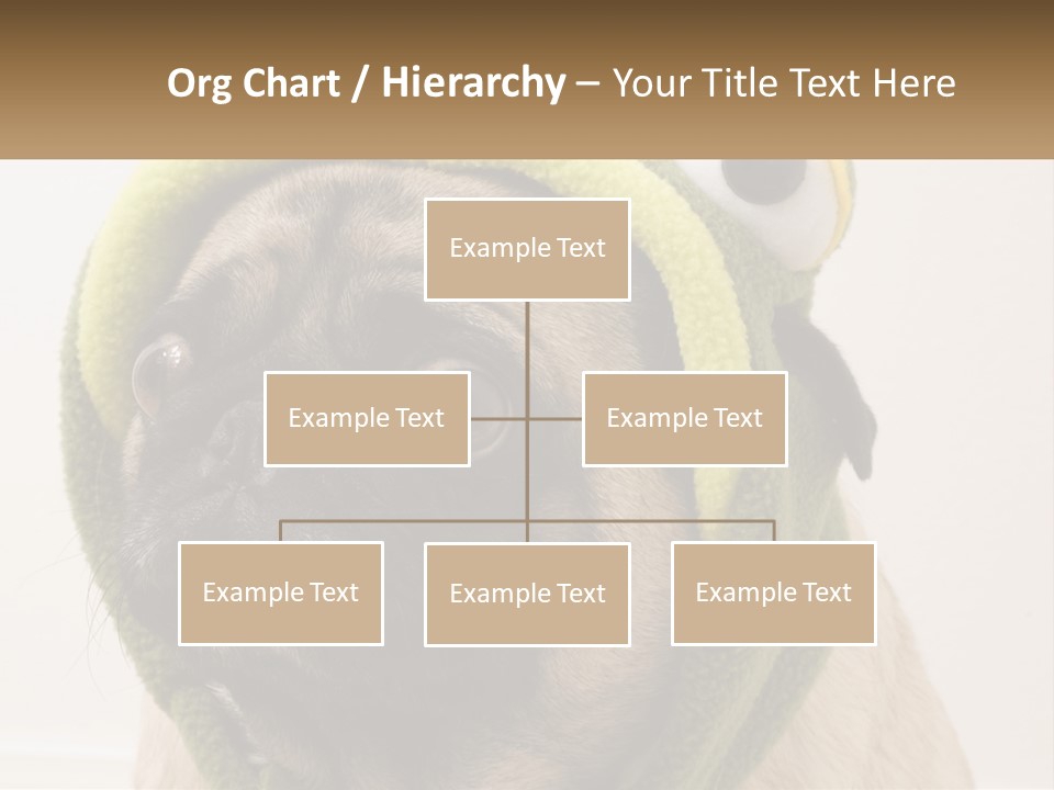 A Small Pug Dog Wearing A Towel With Eyes PowerPoint Template