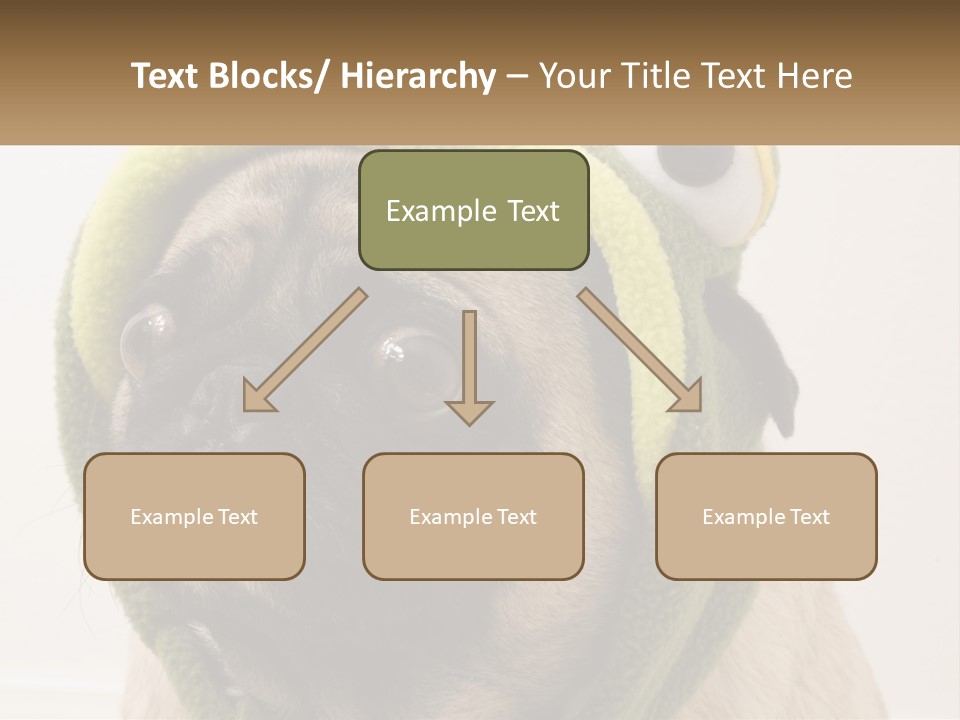 A Small Pug Dog Wearing A Towel With Eyes PowerPoint Template