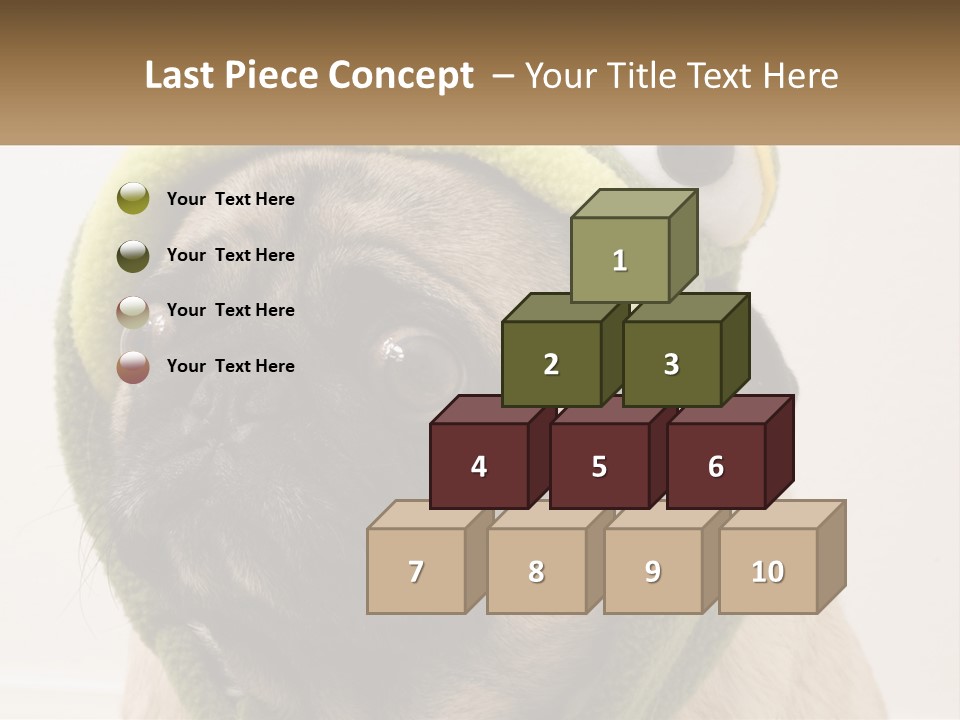 A Small Pug Dog Wearing A Towel With Eyes PowerPoint Template