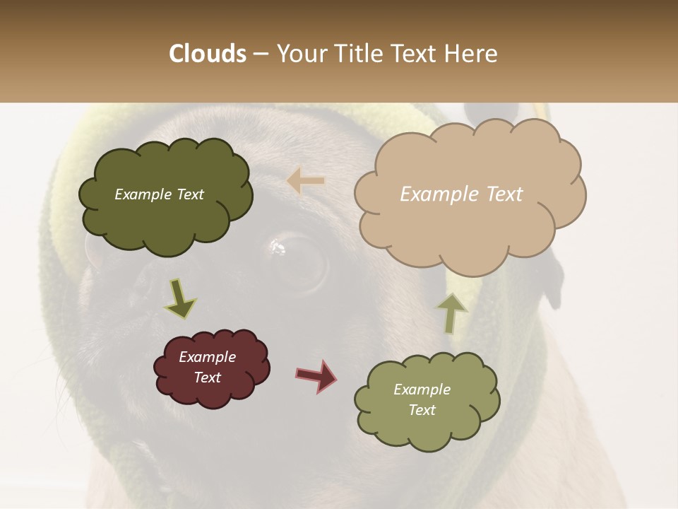 A Small Pug Dog Wearing A Towel With Eyes PowerPoint Template