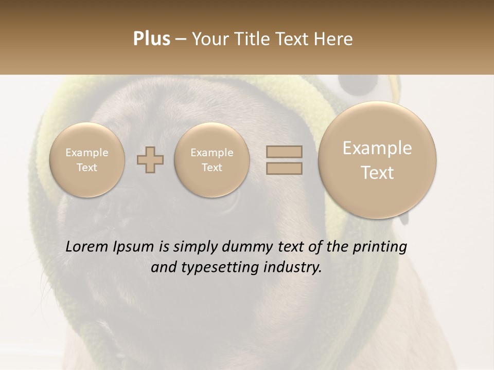 A Small Pug Dog Wearing A Towel With Eyes PowerPoint Template