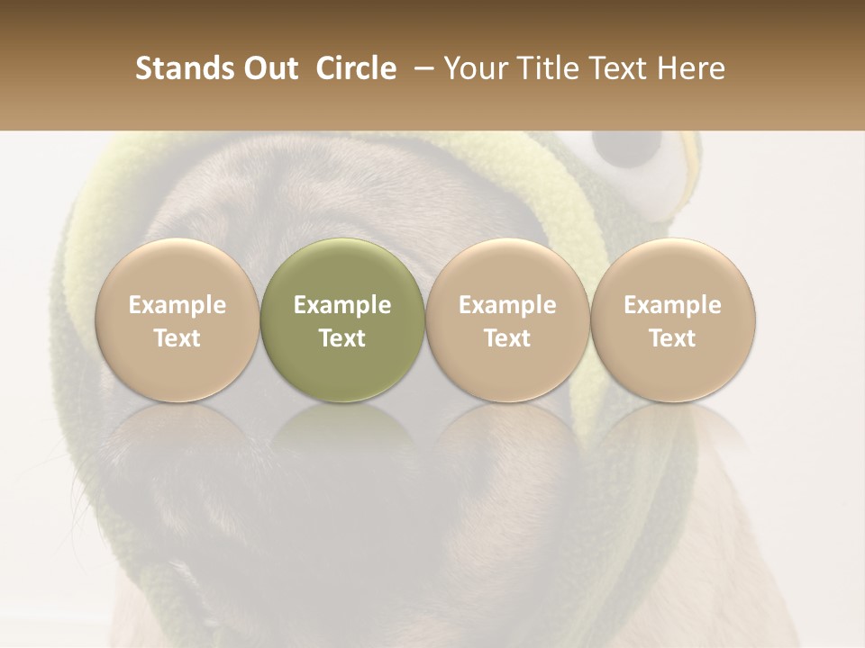 A Small Pug Dog Wearing A Towel With Eyes PowerPoint Template