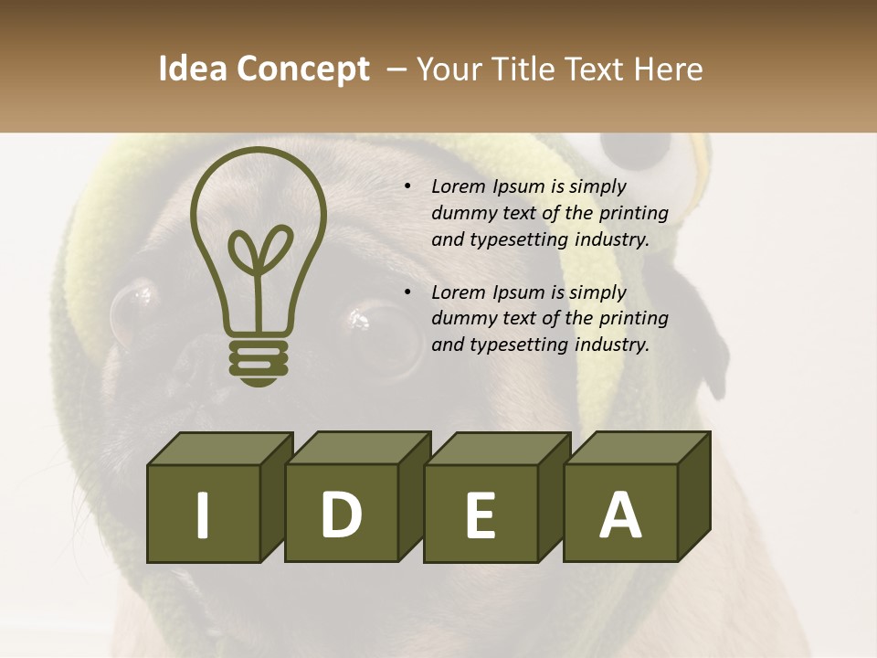 A Small Pug Dog Wearing A Towel With Eyes PowerPoint Template